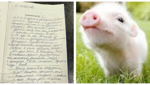 Девушка случайно попробовала свинину, которую не ела 22 года