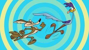 В США засняли погоню койота за дорожным бегуном