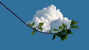 20 примеров безупречной гармонии, превратившейся в искусство