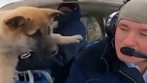 Пилот из ХМАО отправил своего щенка в невесомость