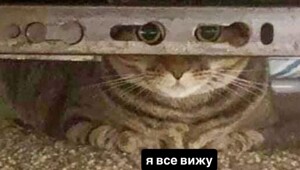 ФНС решила бороться со скрывающими доход неработающими москвичами