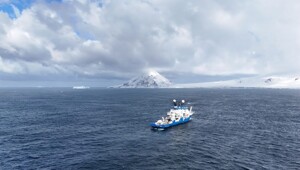 Под ледяной коркой Антарктиды нашли 30 новых видов живых существ