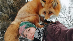 5 причин не заводить лису: дыры в полу, руки в крови, вонища адская!