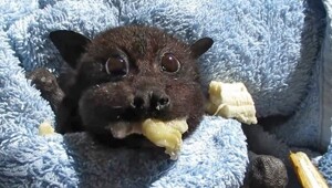 30 поводов начать неделю с позитива