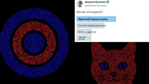 Интересная оптическая иллюзия: красный или синий цвет на переднем плане?