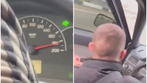 Примерно так выглядит отсутствие мозга