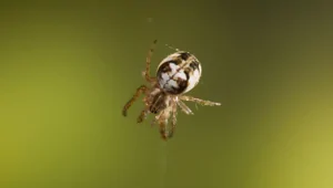 10 фактов, демонстрирующих неожиданные повороты жизненных реалий