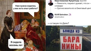 Кормические отношения и душиншилла: каламбуры и лингвошутки