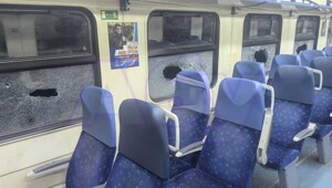 В Подмосковье банда подростков разгромила электричку и ранила помощника машиниста