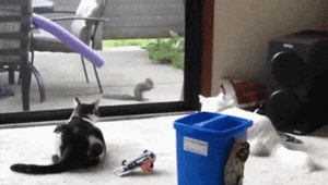 Просто гифки, всякие и&nbsp;разные