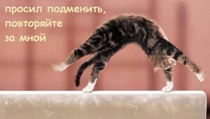 Веселые шутки-картинки