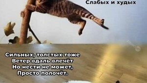 Большая тарелка улыбатора