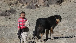 10 фактов из разных областей знаний, которые откроют доступ к тайнам мира