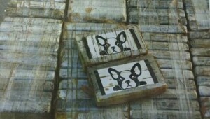 Россиянка попыталась перевезти почти 9 тонн кокаина из Венесуэлы