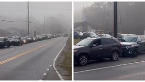 Обнаружена пробка на дороге с самым неожиданным её началом