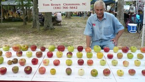 Пенсионер собрал крупнейший в мире «яблоневый ковчег»