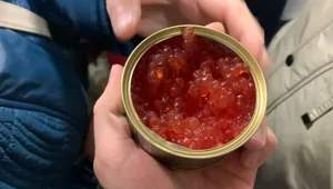 Сибирские пенсионерки стояли в очереди за дешевой икрой около 5 часов и проиграли