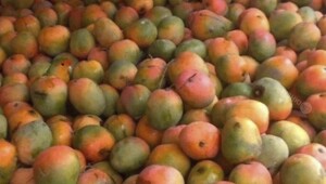 Смешные картинки