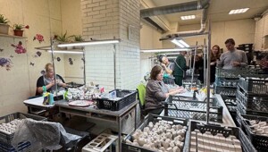 Как создаются игрушки? Сходил в Лефортовский фарфоровый завод