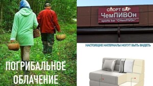 Неронка и ЖЖ: сборник каламбуров и лингвошуток