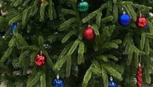 Ёлка против шариата: как один сосед боролся с главным символом Нового года в московском подъезде