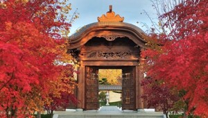 Добро пожаловать, или Посторонним вход разрешен