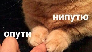 Россия создала первую в мире вакцину, которая эффективно убирает аллергию на берёзу