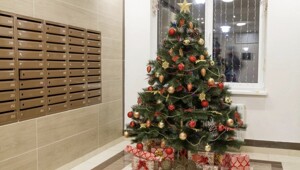 "Давайте закроем этот вопрос": мусульманин, требовавший убрать новогоднюю ёлку из подъезда, отказался от своих претензий