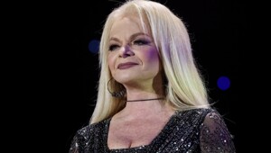 В Госдуме призвали дать ход новому делу о квартире певицы Долиной