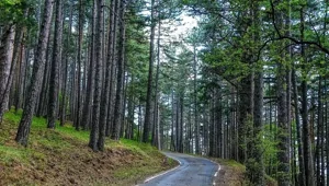 Самые красивые дороги Крыма