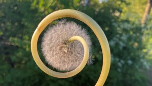 20 невероятных находок, которые стали результатом чистой случайности