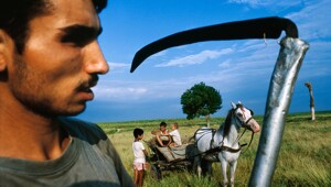 Почему у цыган нет своего государства?