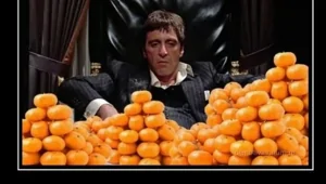 Демотиваторы для всех