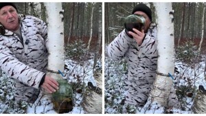Мужчина оставил банку для берёзового сока и был удивлён результатом