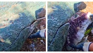 Кладоискателям улыбнулась удача