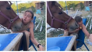 Как девушка и лошадь делили яблоко
