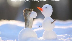 Весёлые картинки