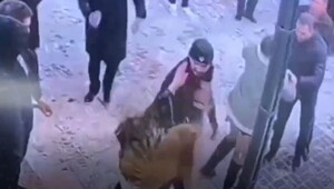 В Нижнем Тагиле девушку избили за отказ познакомиться и украли сумку