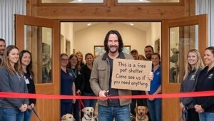 Киану Ривз открыл крупнейший в мире бесплатный приют для кошек и собак