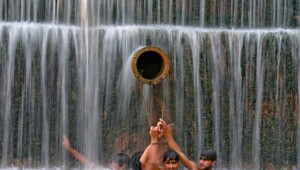 На общую тему&nbsp;