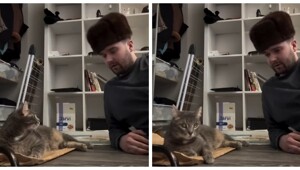 Мужчина в стиле Михаила Круга объяснил своему коту, где находится лоток