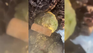 Мужчина приготовил суп при −50°: экстремальная кулинария