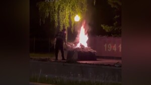 ️В Воронеже мигранта, который сжёг цветы и венки у памятника Славы, приговорили к сроку в колонии