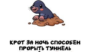 А вдруг ты не знал…