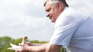 В Подмосковье утонул экс-лидер Солнцевской ОПГ по кличке Авера