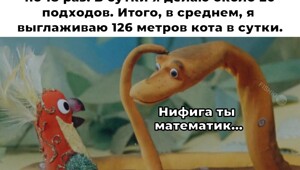 Смешные картинки