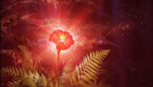 Былички сибирской деревни