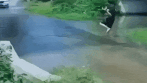 Просто гифки, всякие и&nbsp;разные