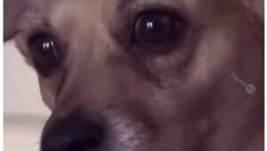 Смешные картинки