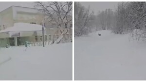 Врач на Камчатке ползком пробирался через сугробы, чтобы доставить кровь в детскую больницу